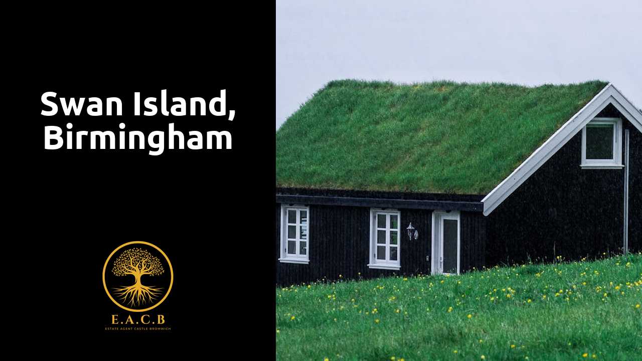 Swan Island, Birmingham